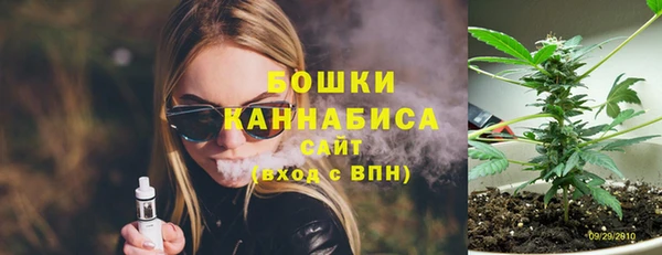 винт Дмитров