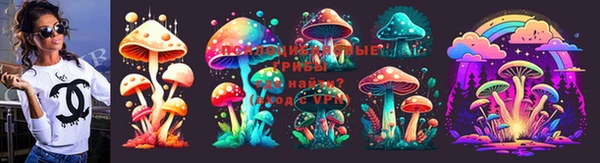 винт Дмитров