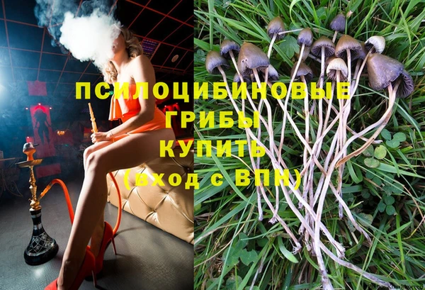 МДМА Дмитровск