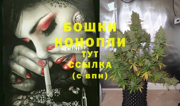 винт Дмитров
